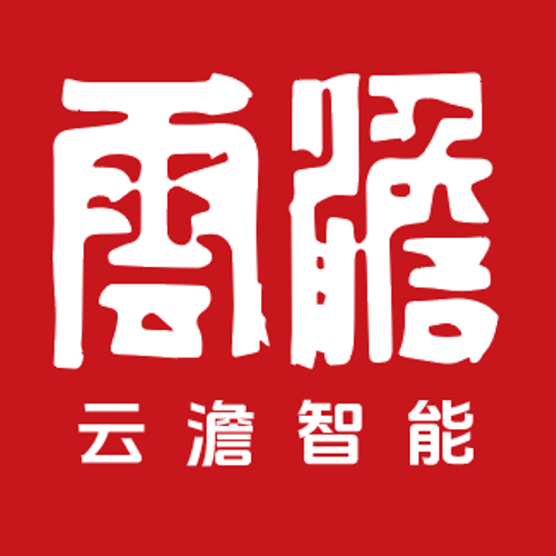 云澹智能 logo